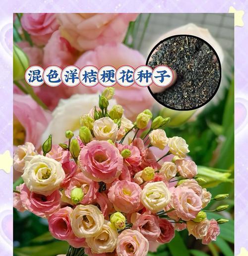 花卉种子种植方法是什么？怎样确保种子发芽？
