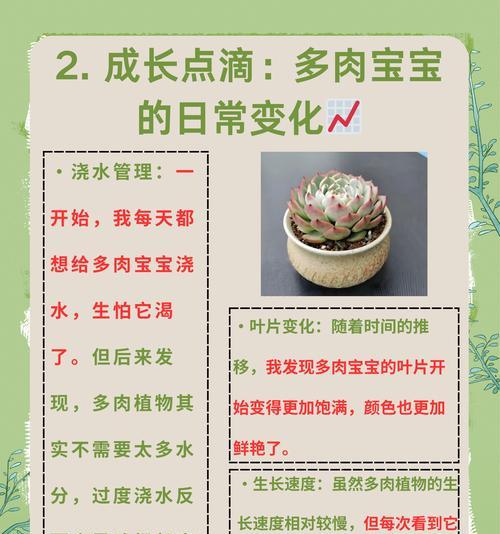 植物的休眠期是什么时候？如何识别和管理？