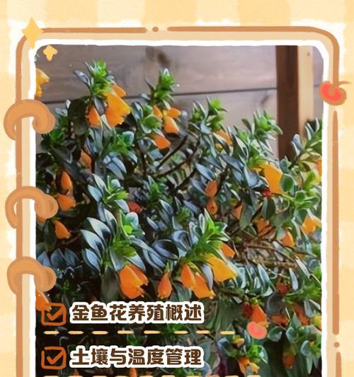 金鱼花扦插繁殖的步骤和技巧？