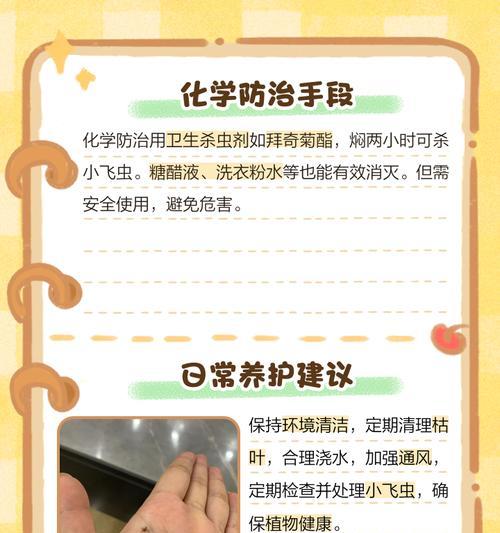 花盆小飞虫是什么？如何有效防治花盆中的小飞虫？