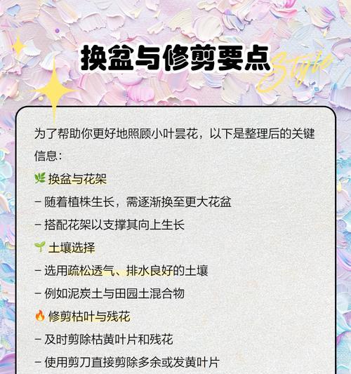 弹花养护方法是什么？如何确保其健康生长？