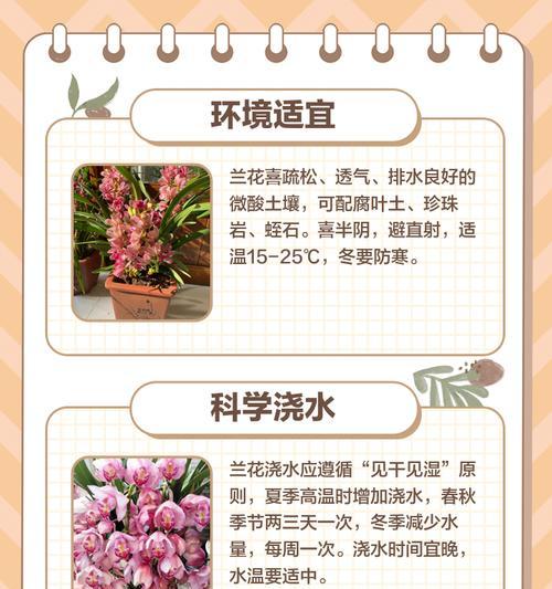 兰花养殖的秘诀是什么？