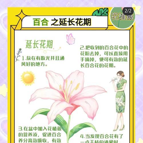 亚洲百合的种植和养护方法是什么？