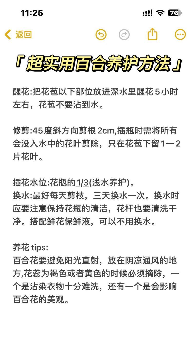 亚洲百合的种植和养护方法是什么？