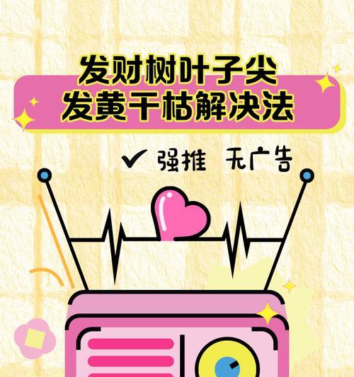 发财树出现黄叶怎么办？拯救发财树的正确步骤？