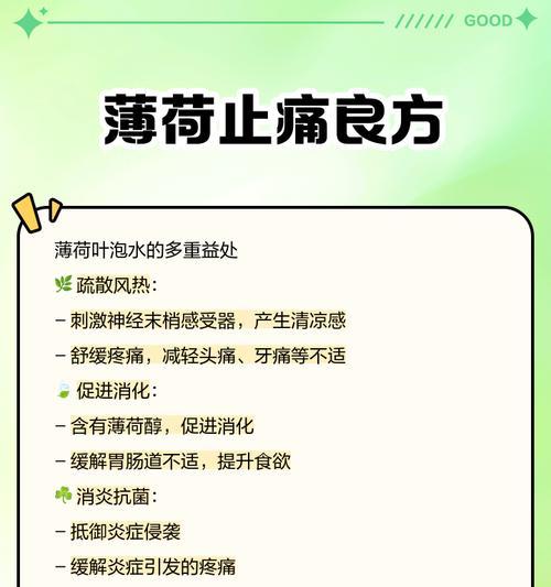 薄荷叶子枯萎了怎么办？原因及解决办法？