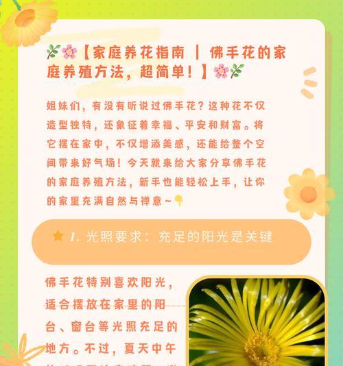哪种花卉象征家庭和谐？家庭花卉的选择有哪些？