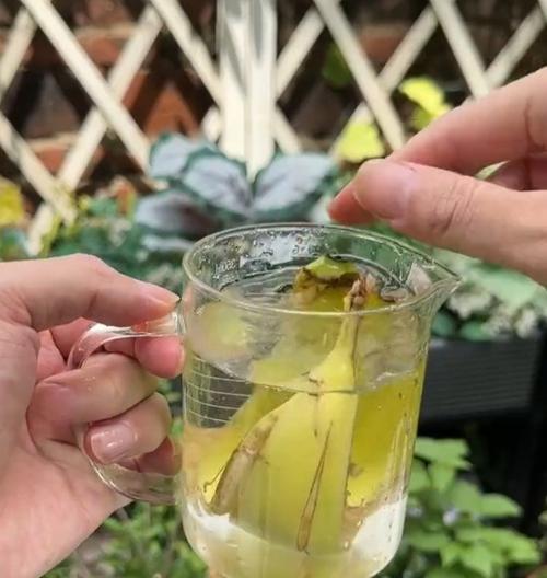 香蕉皮如何制作成花肥？
