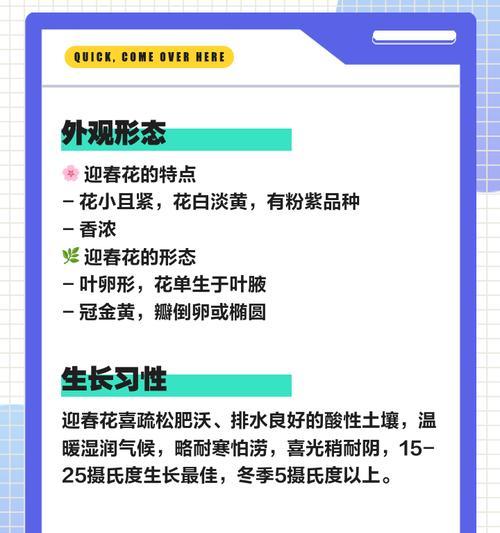 迎春花的浇水技巧是什么？