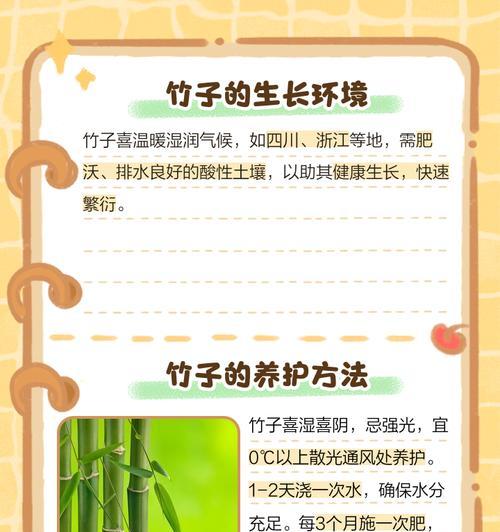 室内养竹子需要注意什么？如何保持竹子生长旺盛？