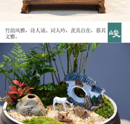 室内养竹子需要注意什么？如何保持竹子生长旺盛？