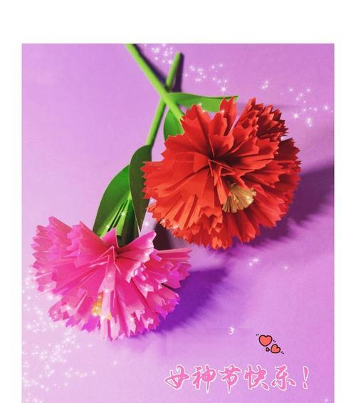 康乃馨花保鲜的正确方法是什么？