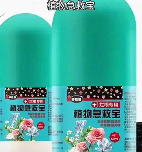 芦荟烂根的急救措施有哪些？如何预防烂根？
