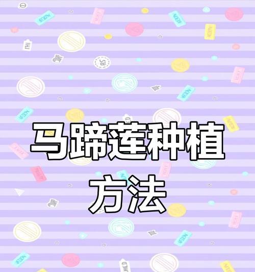 室内莲花种植方法有哪些？