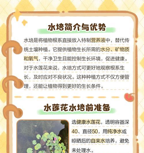 室内莲花种植方法有哪些？