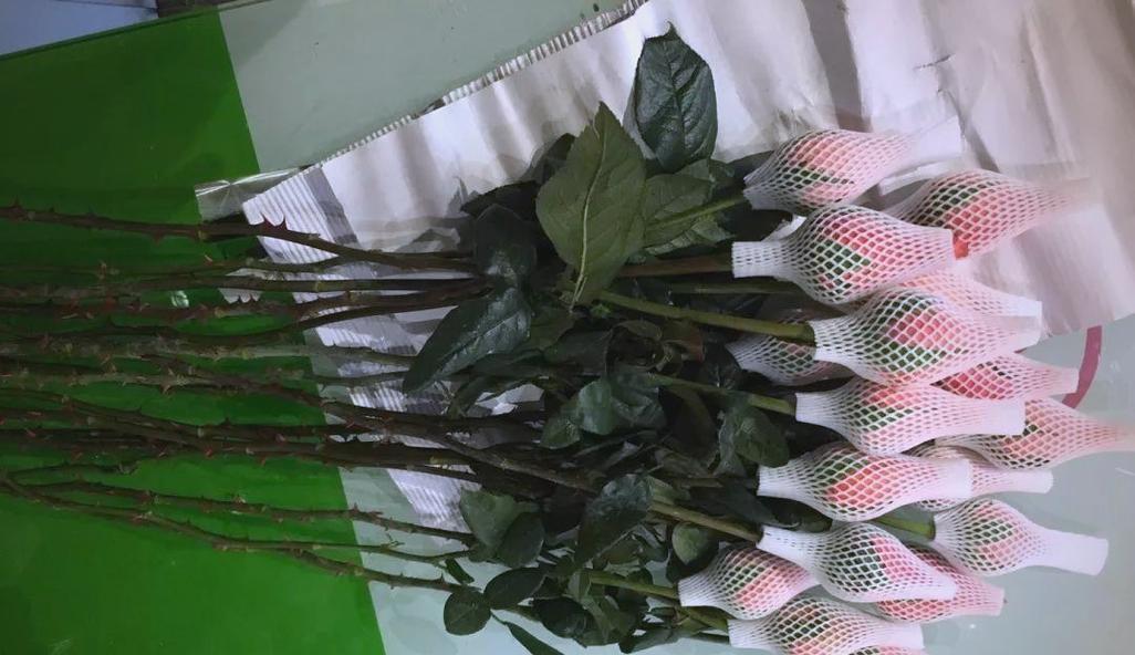 鲜插花有哪些受欢迎的品种？如何保鲜？