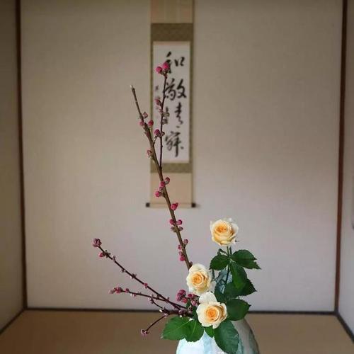 鲜插花有哪些受欢迎的品种？如何保鲜？