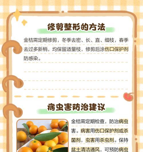 盆栽金橘的养殖技巧和常见问题解答？