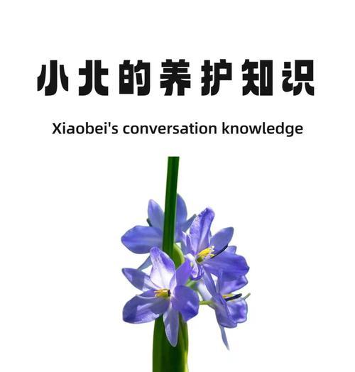 紫罗兰的插枝方法是什么？如何提高紫罗兰的成活率？