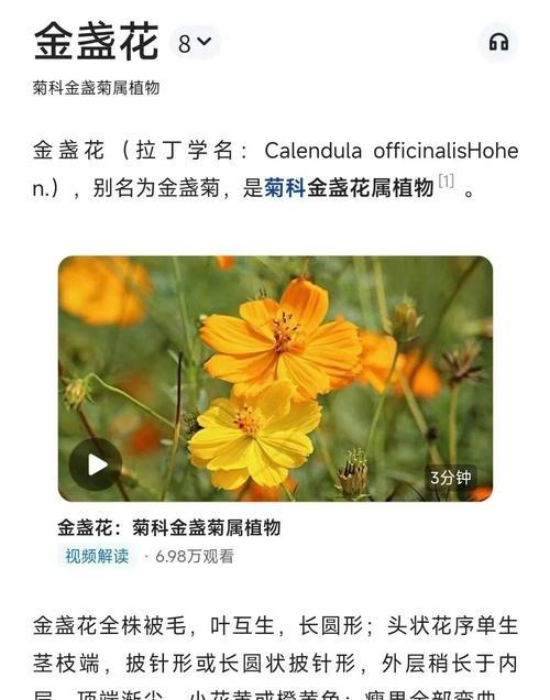 金盏花的养殖方法是什么？需要注意哪些问题？