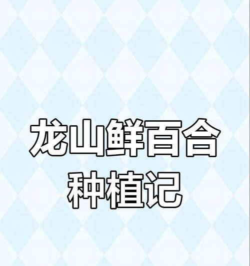 百合怎么种？百合种植的正确方法和注意事项是什么？