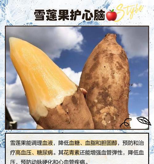 雪莲果种植的条件和方法是什么？
