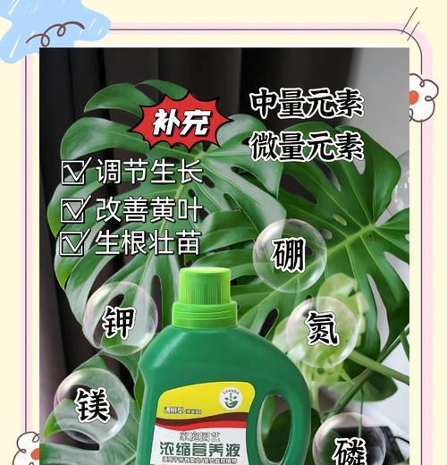 花卉营养液的正确使用方法是什么？