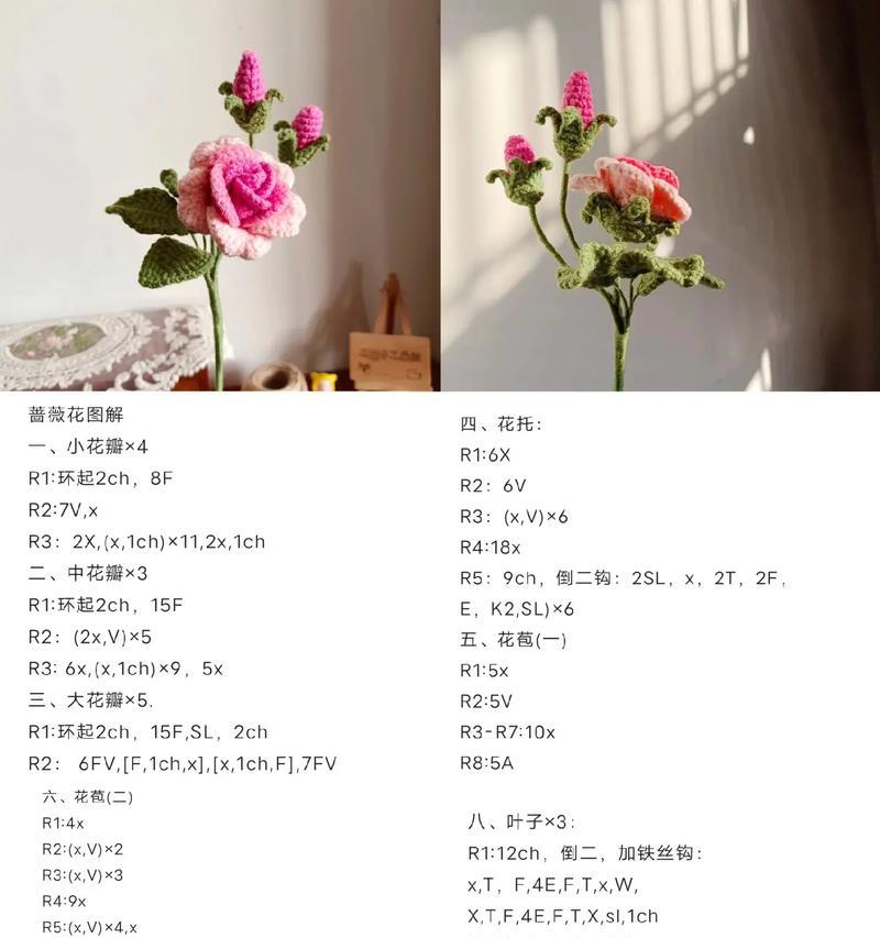 蔷薇花象征着什么意义？
