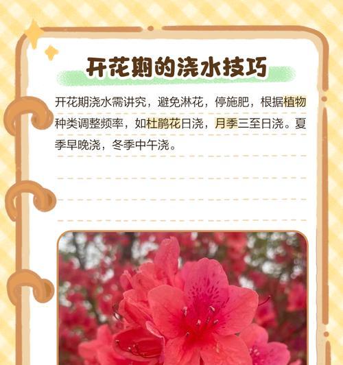 植物浇水过多如何处理？如何判断植物是否浇水过量？