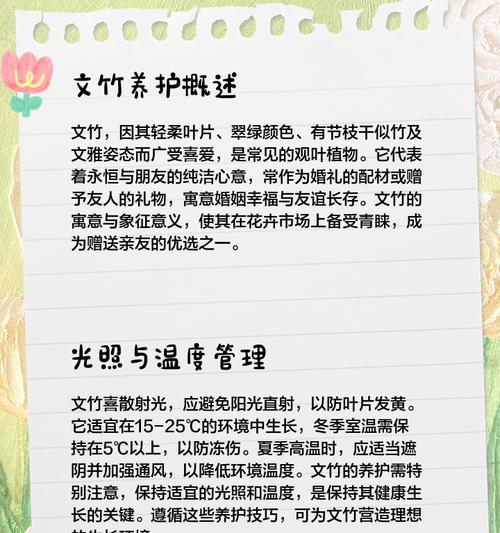 文竹的正确养护方法是什么？