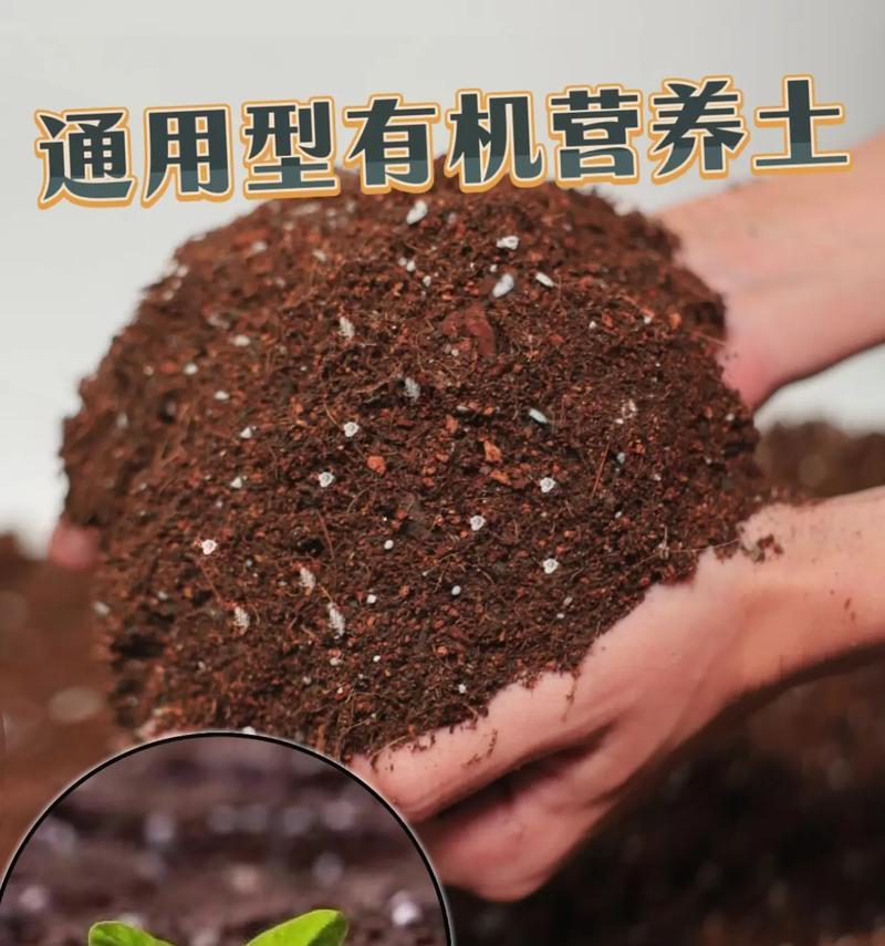 自制种花营养土的方法有哪些？如何制作适合植物生长的营养土？