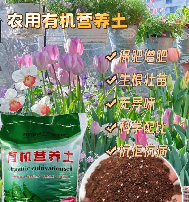 自制种花营养土的方法有哪些？如何制作适合植物生长的营养土？