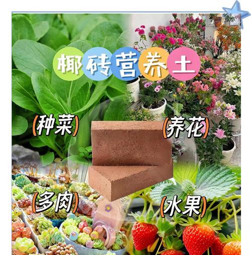 椰砖土配制方法是什么？怎样配制适合植物的土壤？