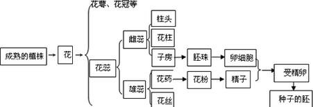 植物有哪些种类？如何分类？