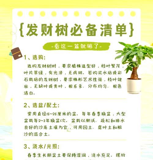 发财树冻害后如何进行抢救？