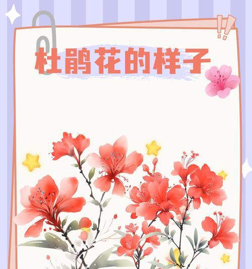 杜鹃花有多少种？如何区分不同品种？