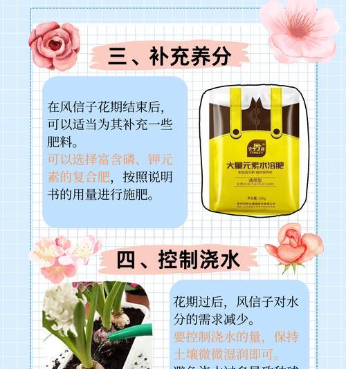 风信子花期后如何进行管理？