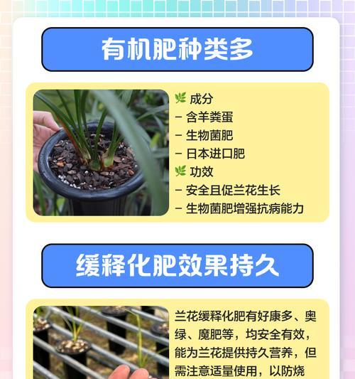 兰花生长需要哪种肥料？