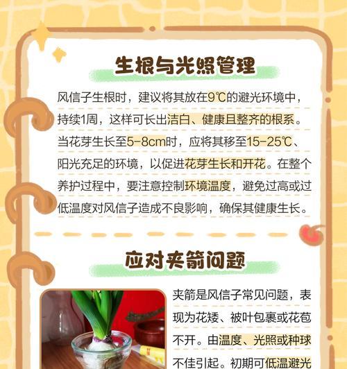 风信子腐烂如何处理？风信子腐烂的解决方法有哪些？