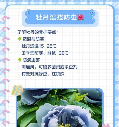 牡丹树的养殖方法和注意事项是什么？