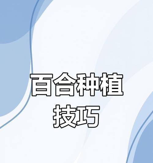 百合的养殖方法有哪些？