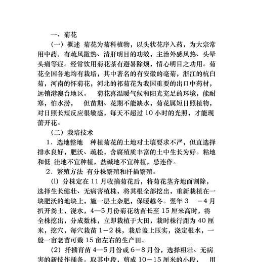 菊花种子种植方法是什么？步骤详解！