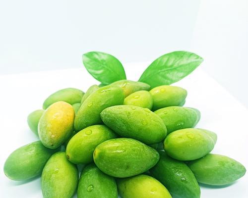 青榄有多少种？青榄品种的特点是什么？