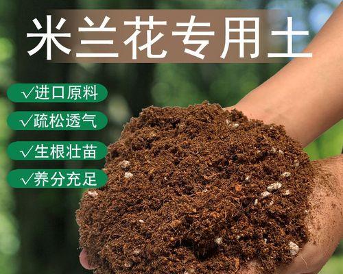 米兰花种植需要哪种土壤？
