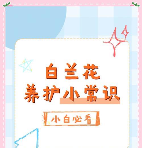 白兰树的正确养护方式？