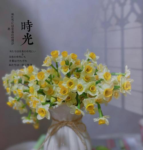 水仙的植物特性是什么？水仙的养护方法有哪些？