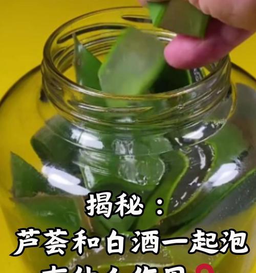 芦荟种植的正确方法有哪些？