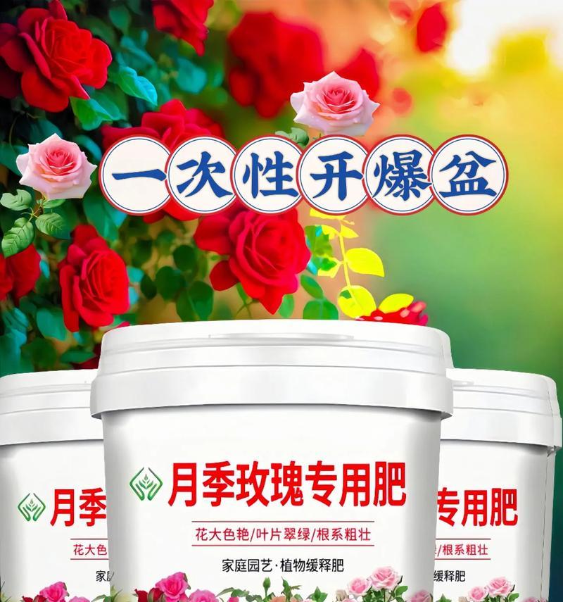 盆栽月季施肥技巧有哪些？
