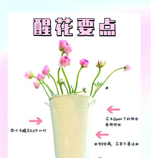 给花翻土的最佳时机和步骤是什么？