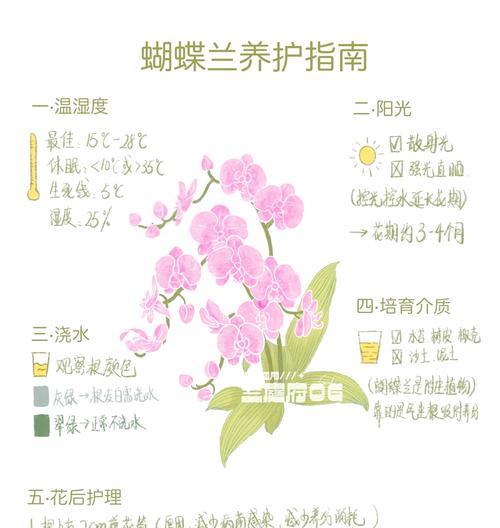 蝴蝶兰的最佳播种时间是什么时候？